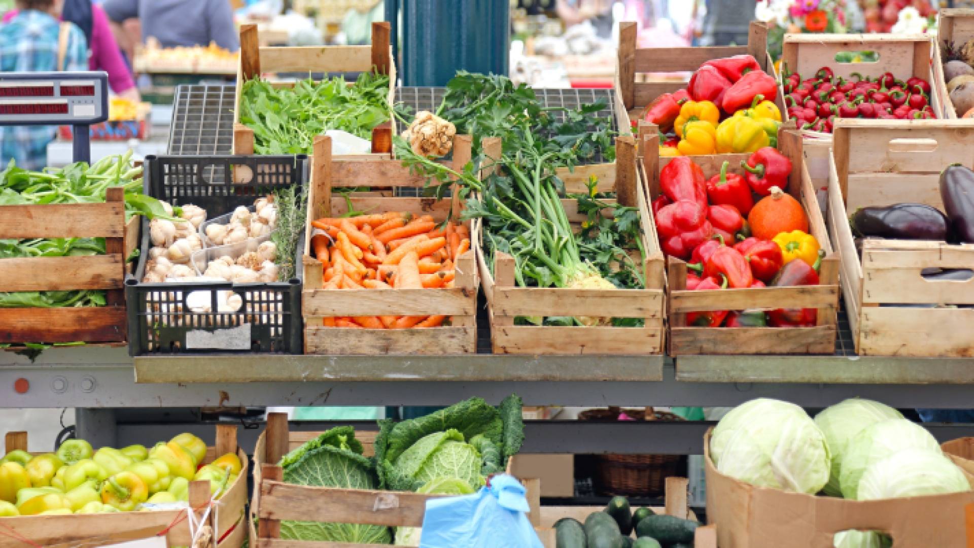 خضار وفواكه