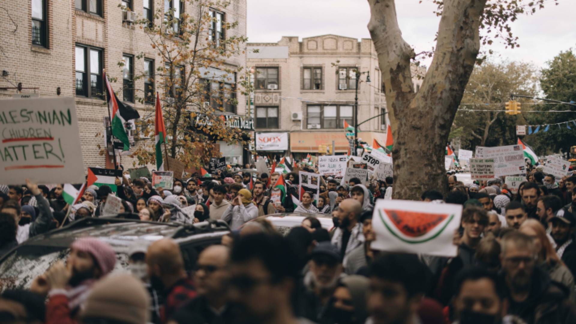 تظاهرة في نيويورك داعمة لغزة - أرشيفية