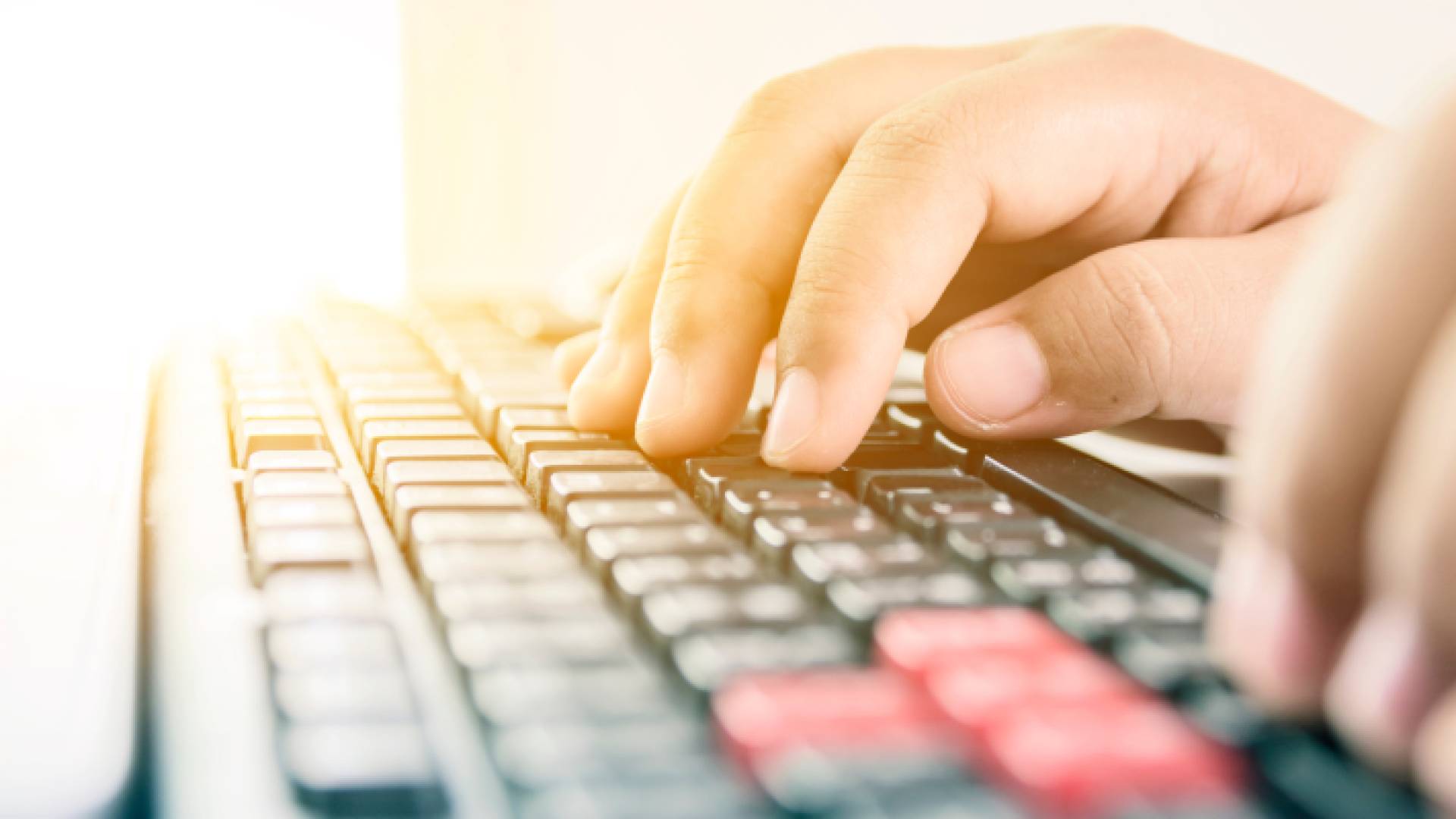 ضبط مدخل بيانات طلب رشوة