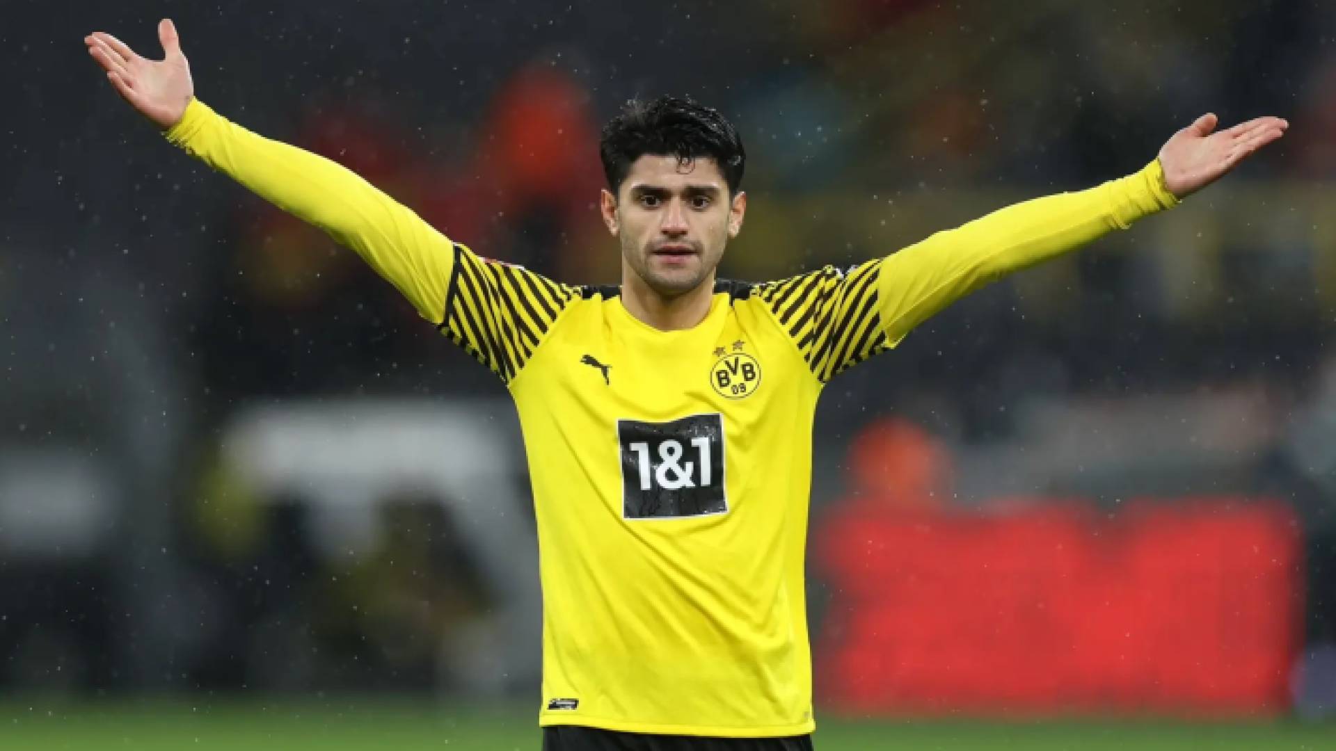 محمود داوود