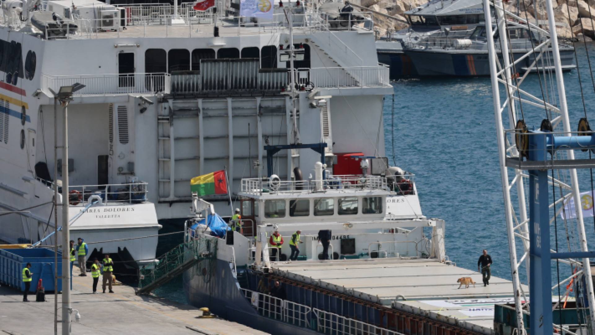 كلب بوليسي يتفقد سفينة المساعدات التي تستعد للتوجه إلى غزة - رويترز