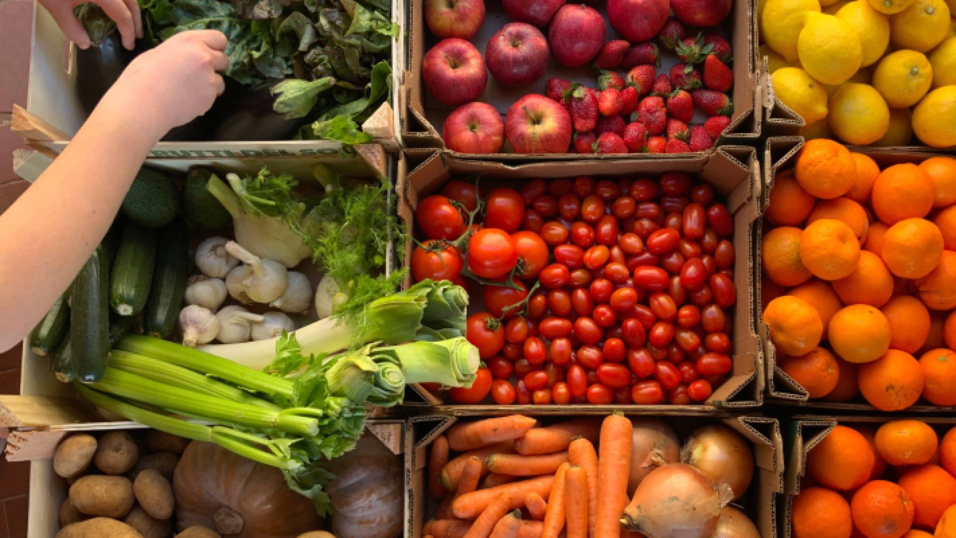 خضار وفواكه