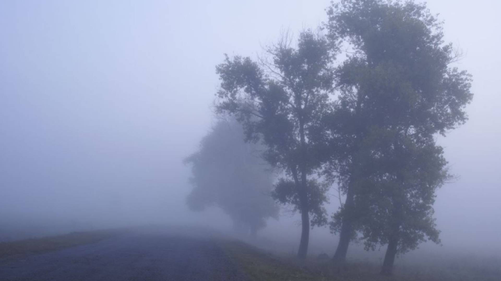 ضباب - أرشيفية