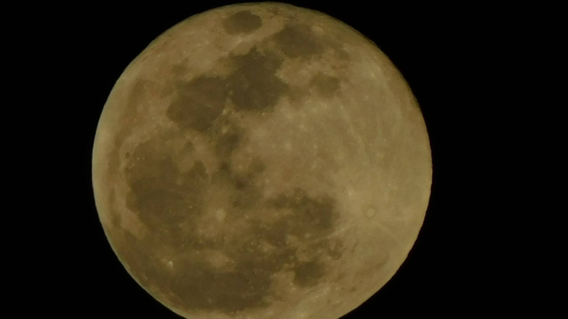 البدر في سماء الأردن