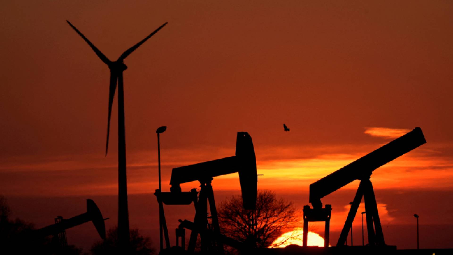 استخراج النفط