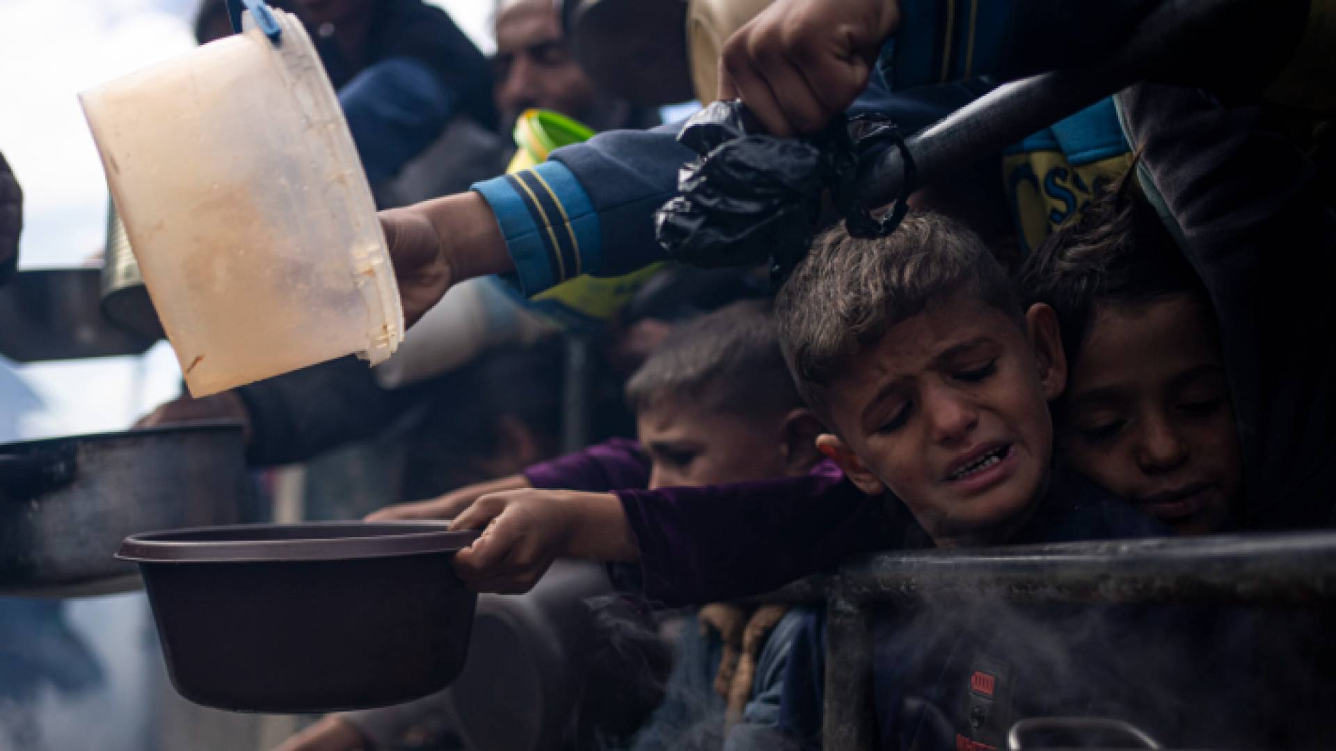 أطفال يحاولون الحصول على بعض الطعام في غزة