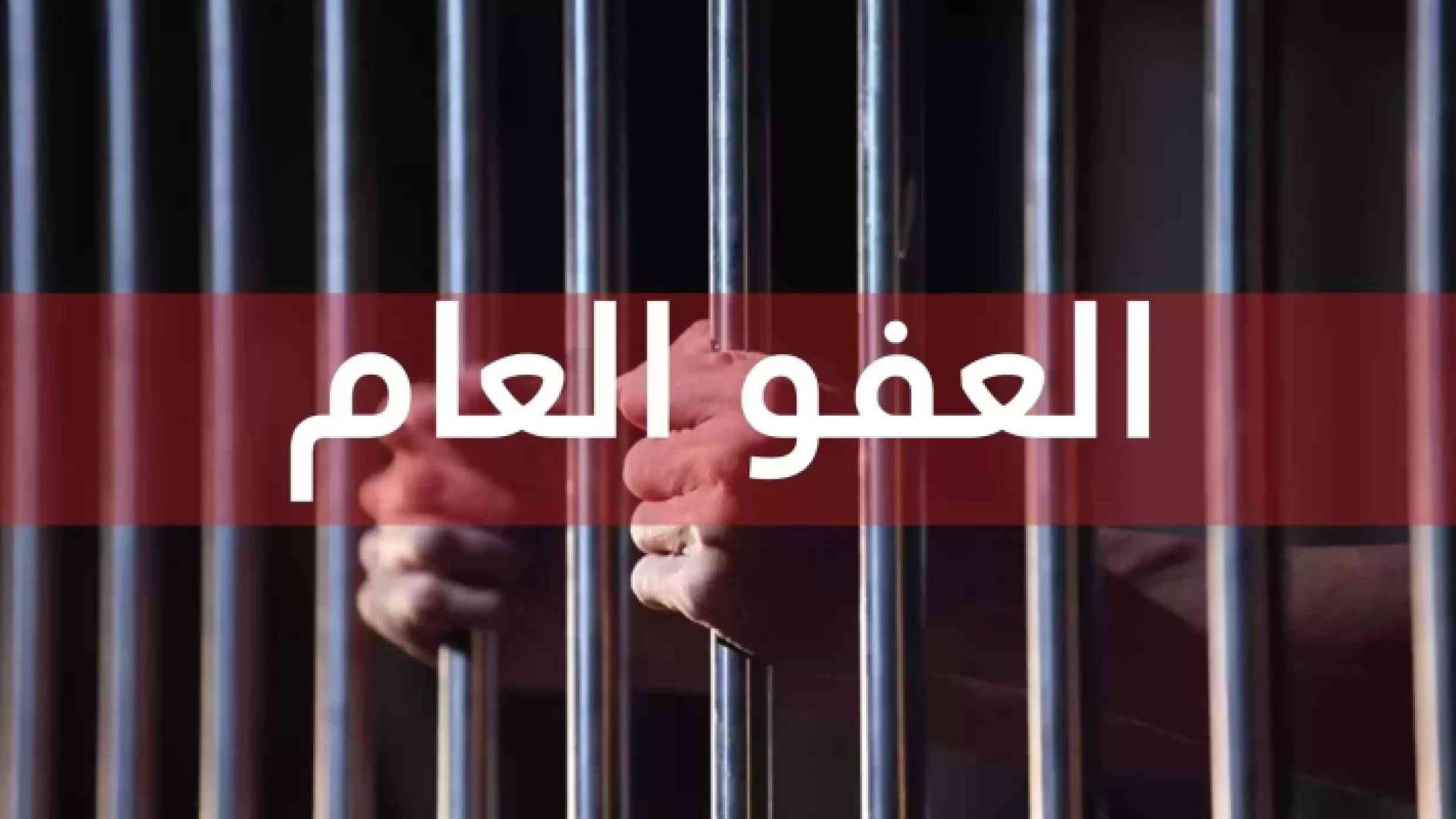 العفو العام