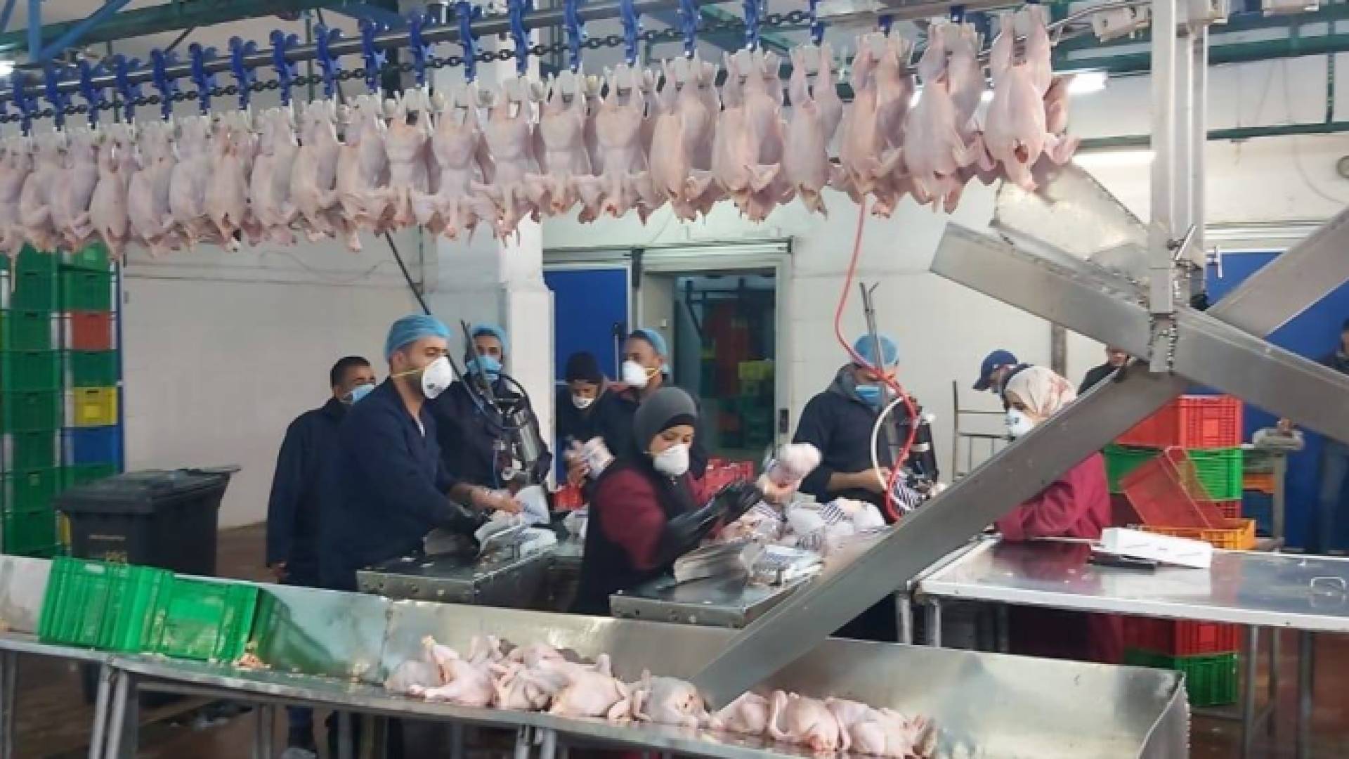 مسلخ أمانة عمان