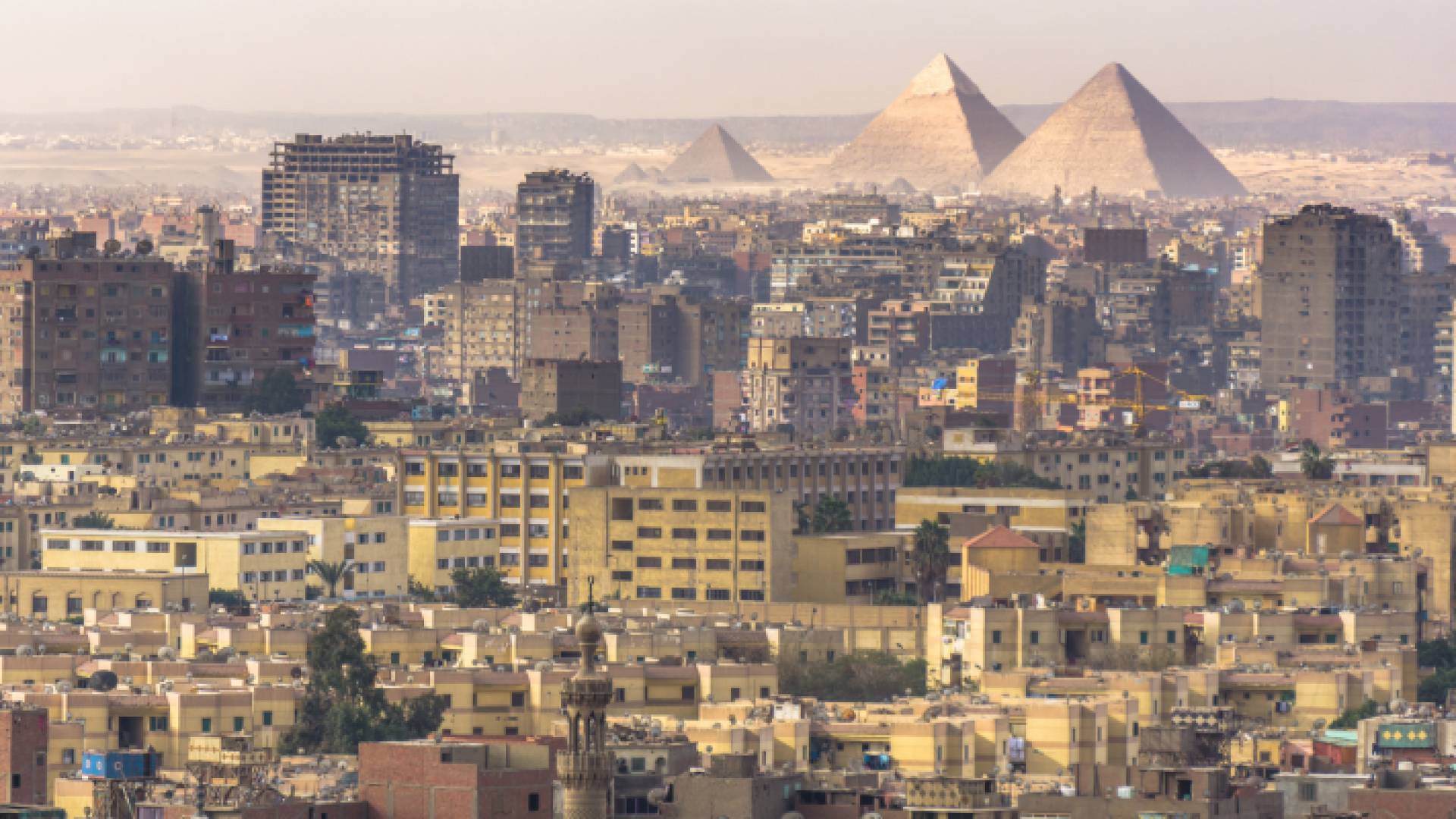 القاهرة - مصر