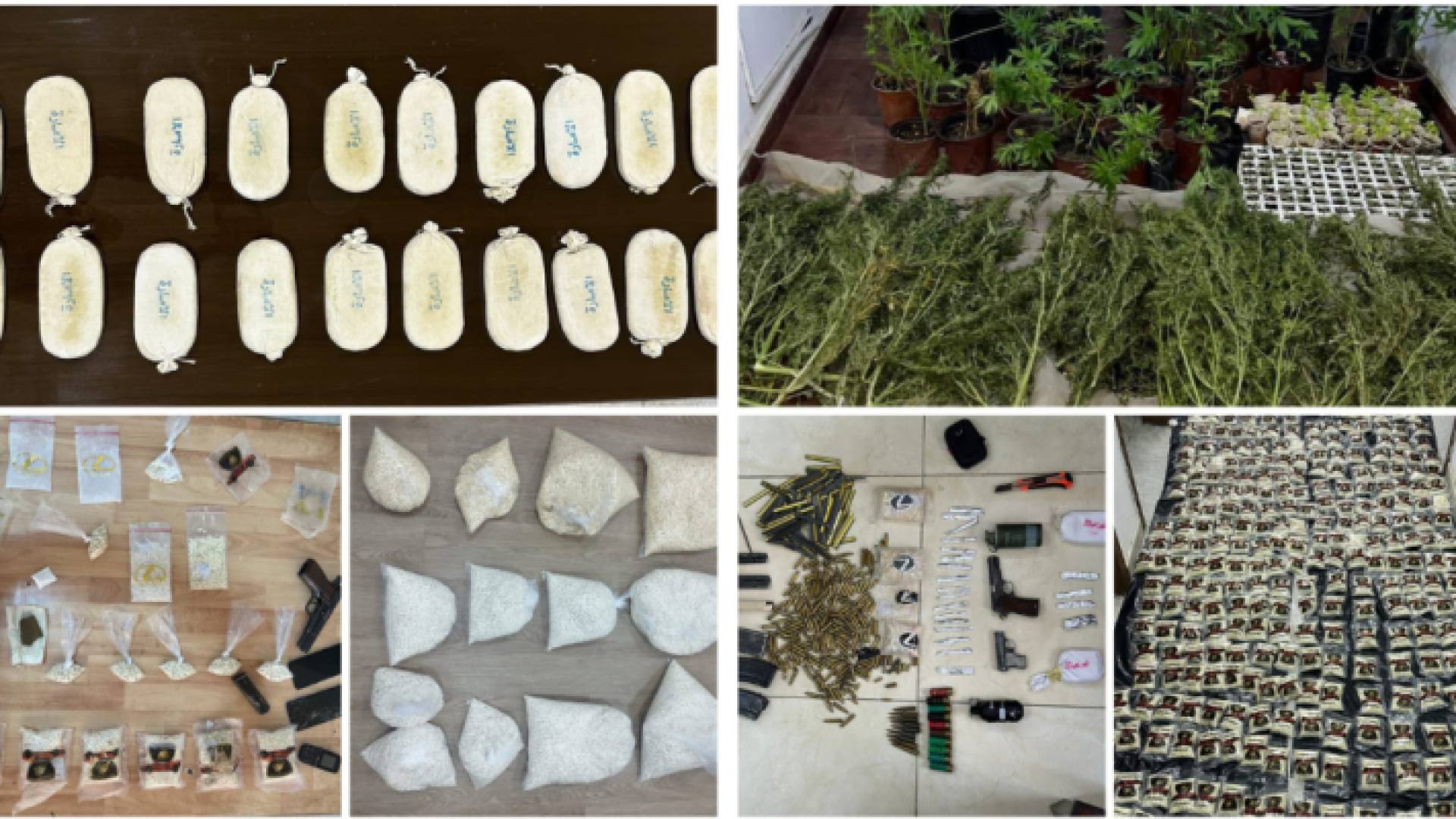 ضبطية المخدرات