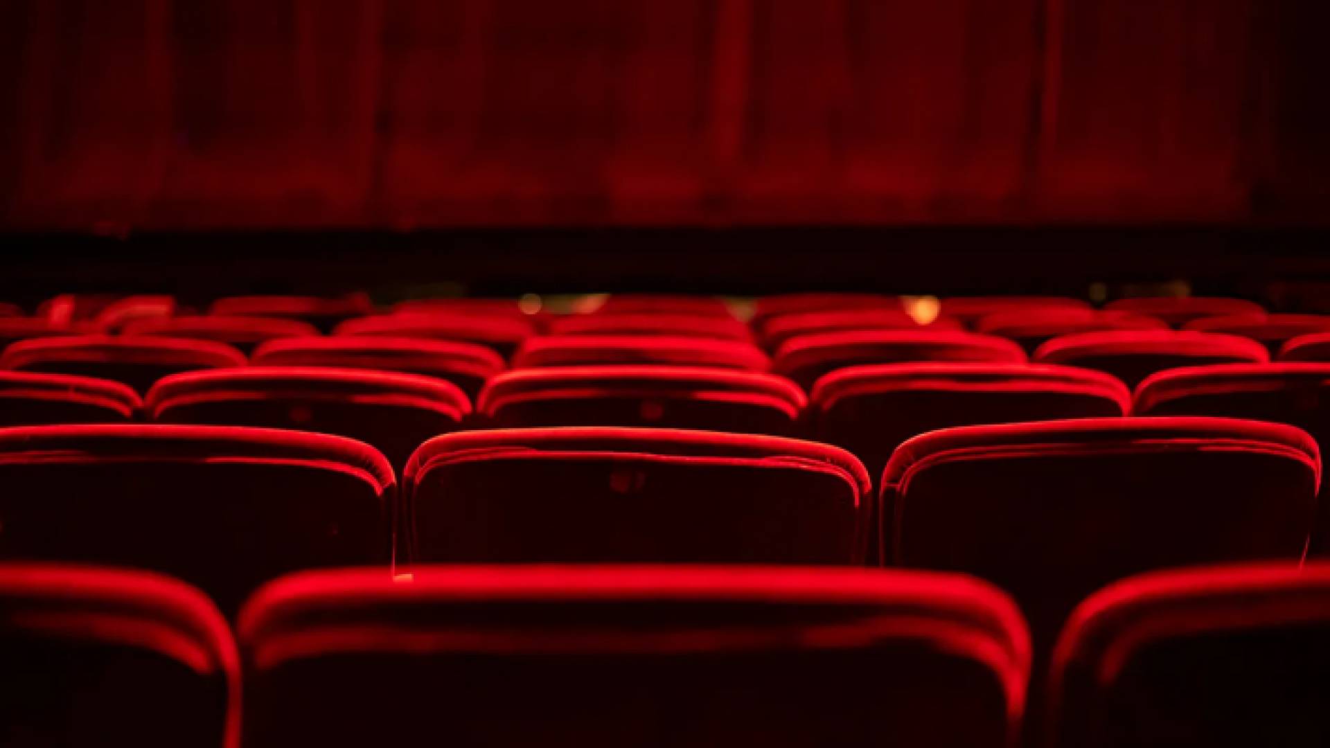 صورة تعبر عن مدرج سينمائي