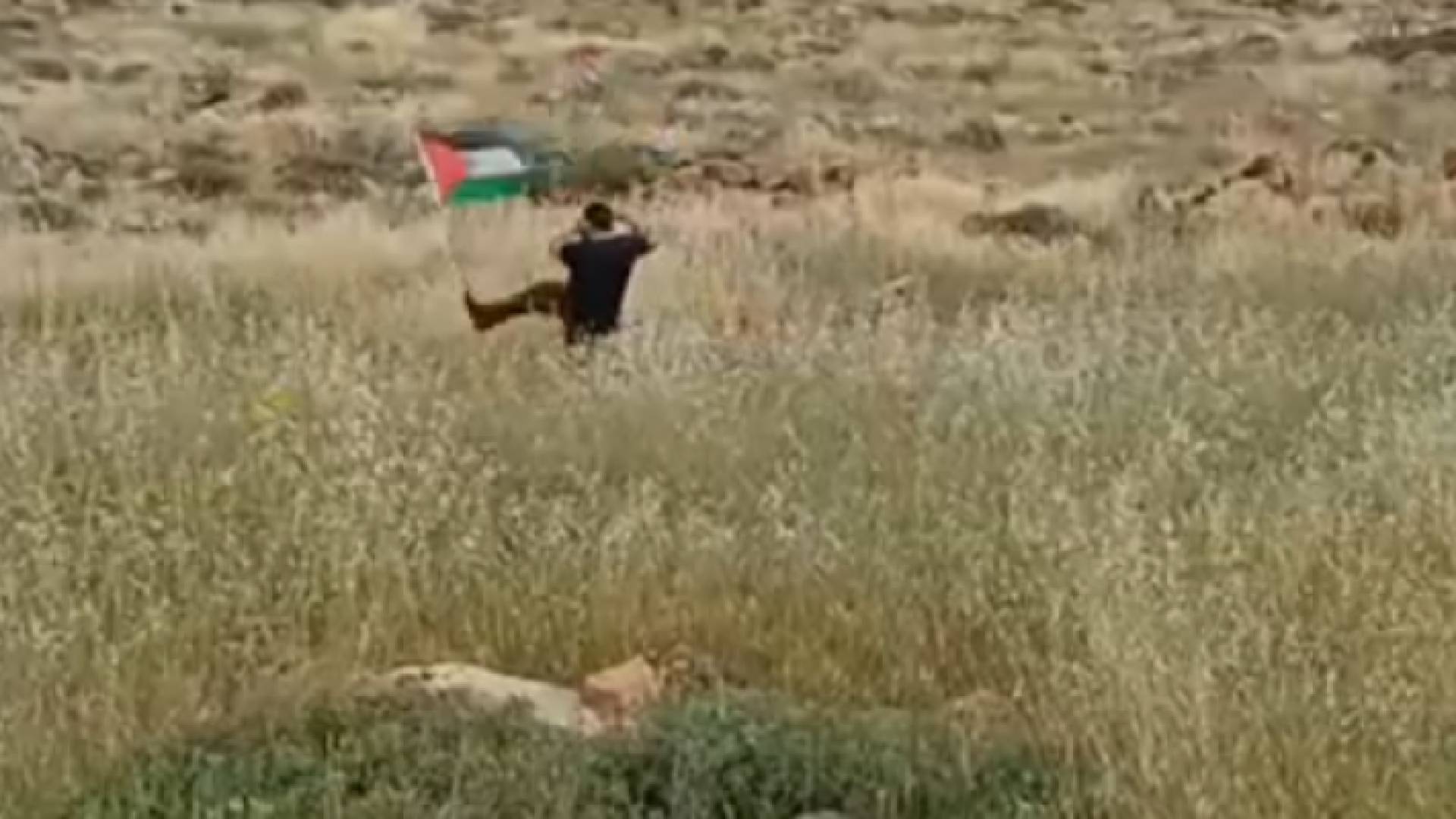 اثناء محاولة المستوطن انزال علم فلسطين