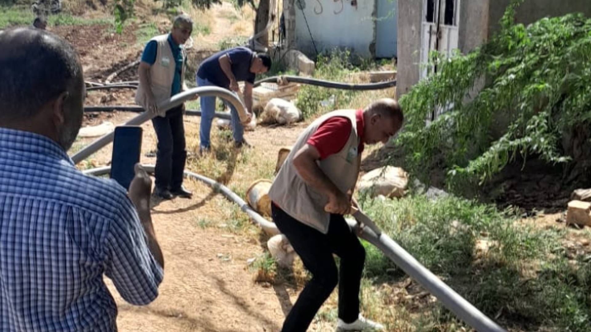 الصورة خلال الحملة