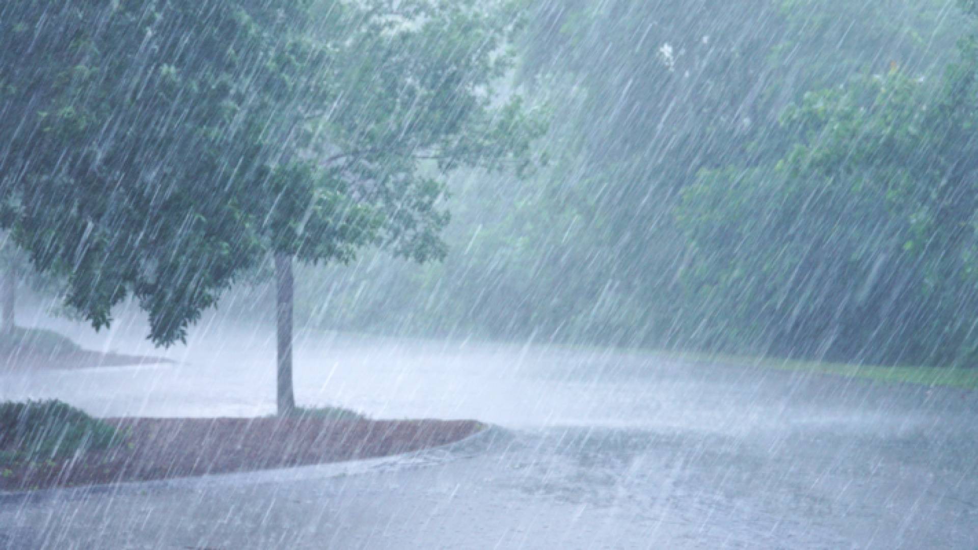 أمطار - تعبيرية