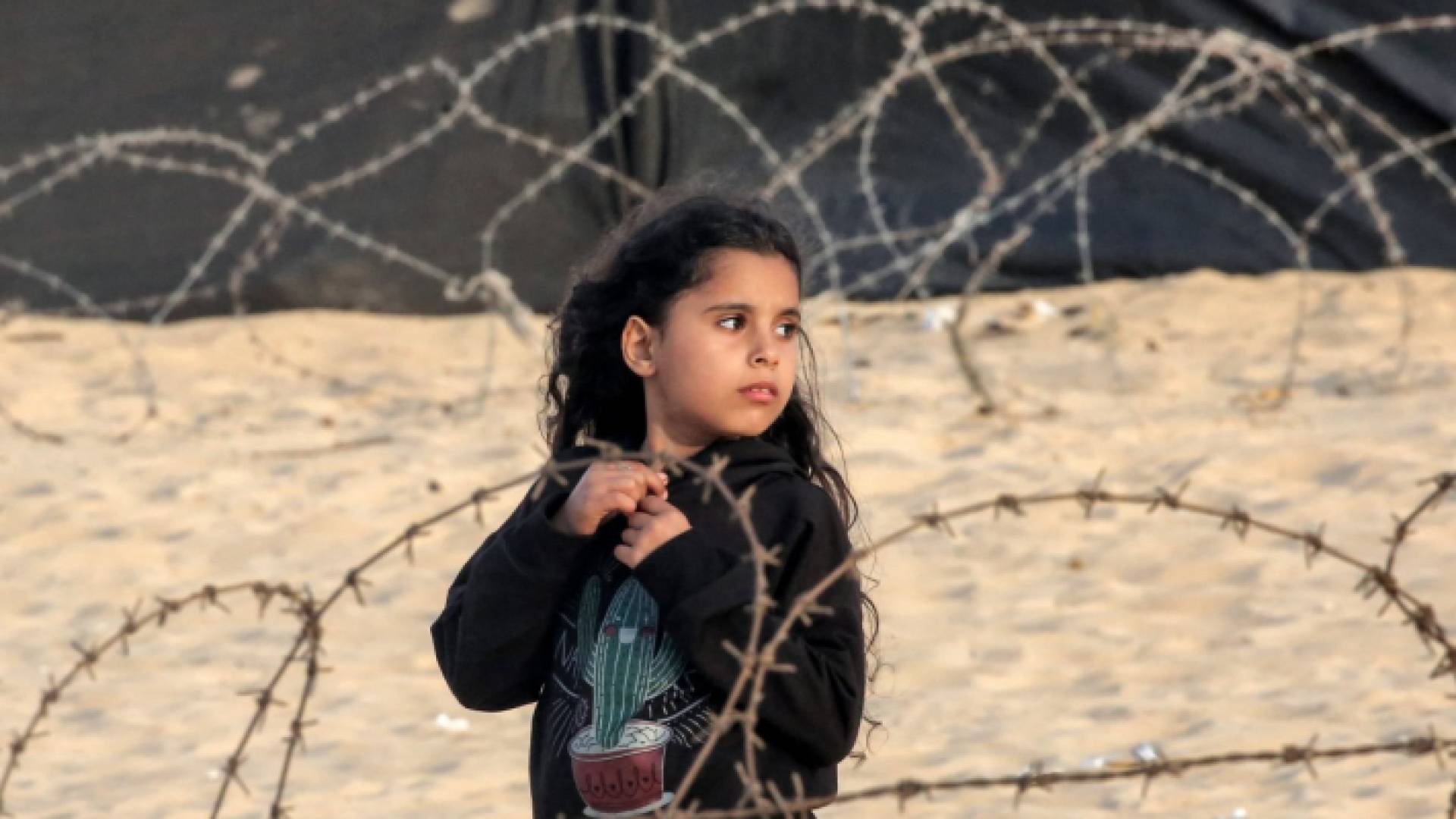 فتاة تقف بين رقع الأسلاك الشائكة في مخيم يؤوي الفلسطينيين النازحين في رفح بجنوب قطاع غزة