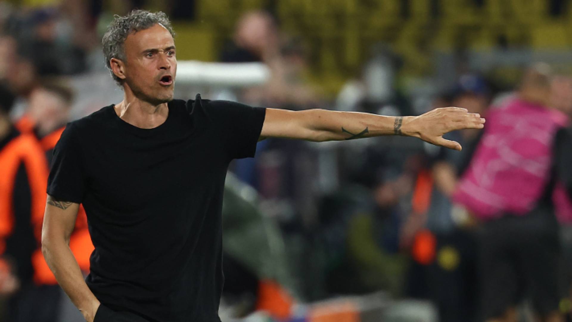 مدرب باريس سان جيرمان لويس انريكي