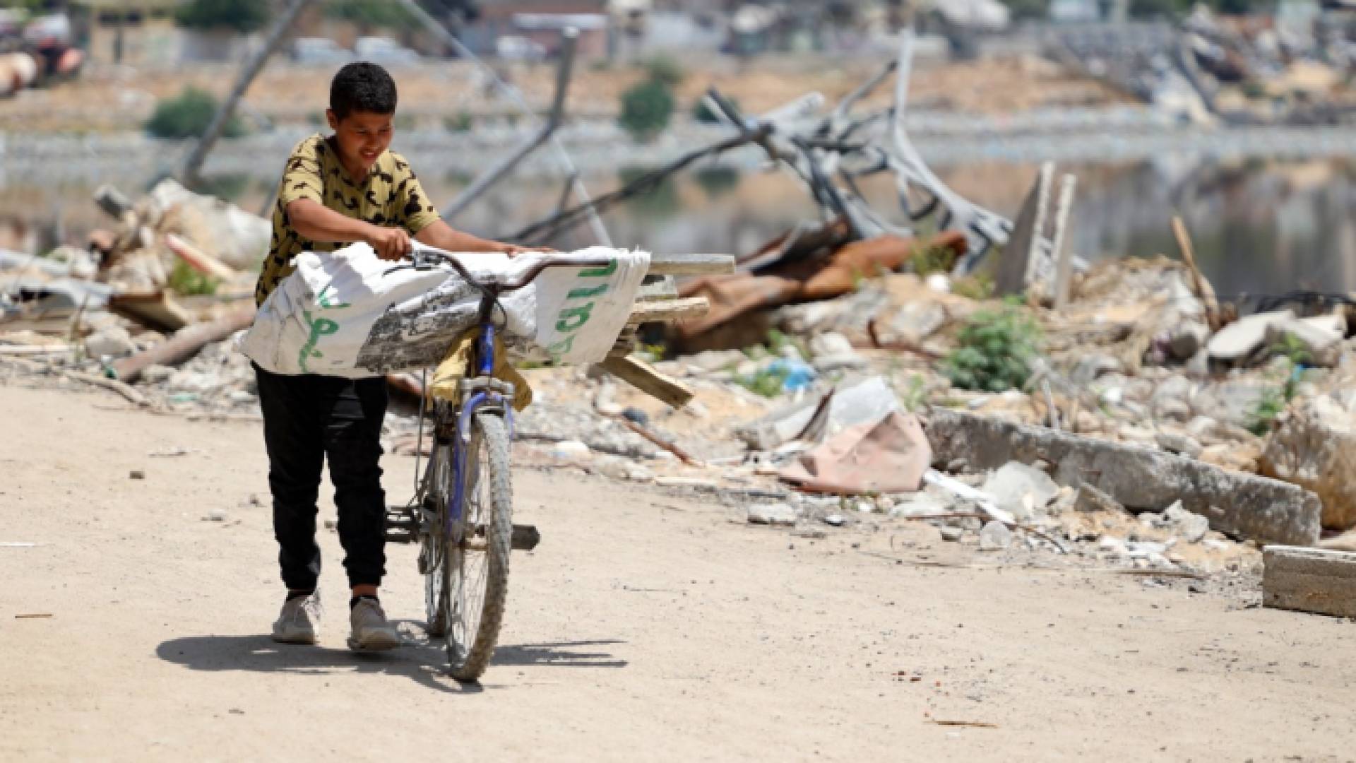 طفل فلسطيني ينقل الأخشاب عبر دراجة هوائية