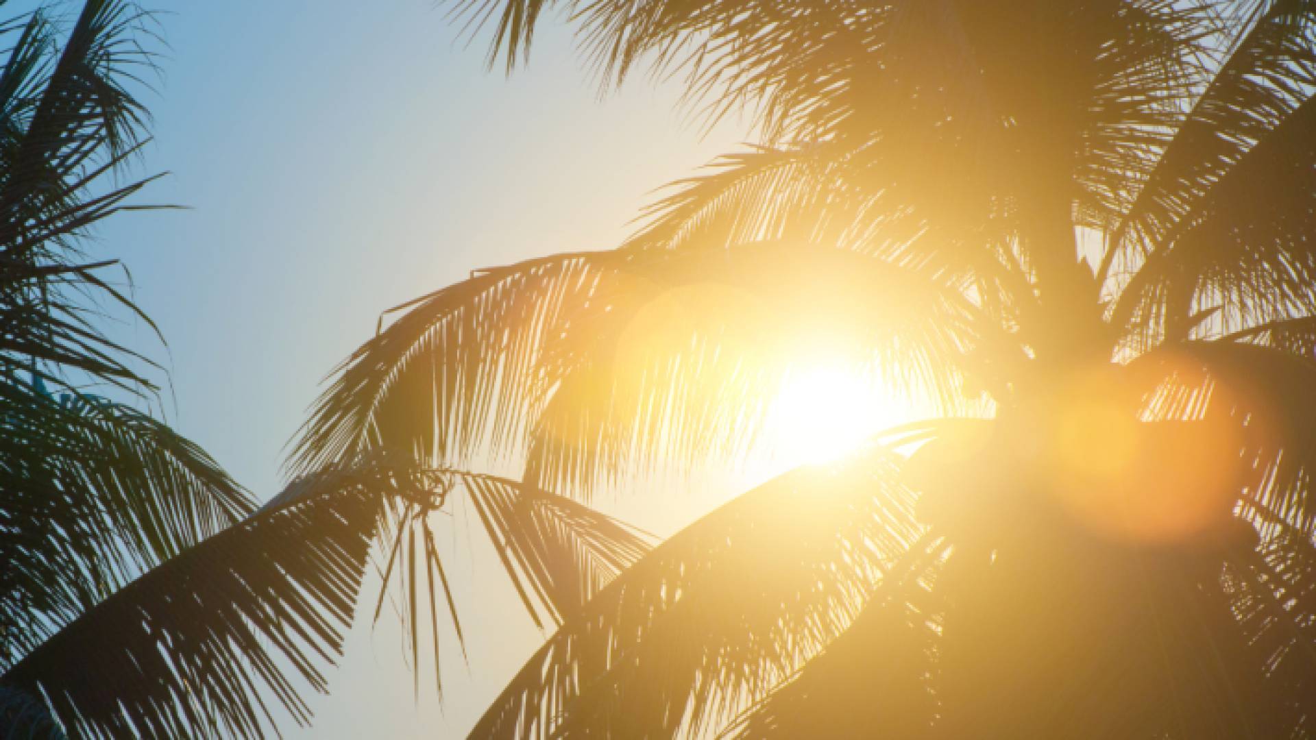 أجواء مشمسة ومغبرة