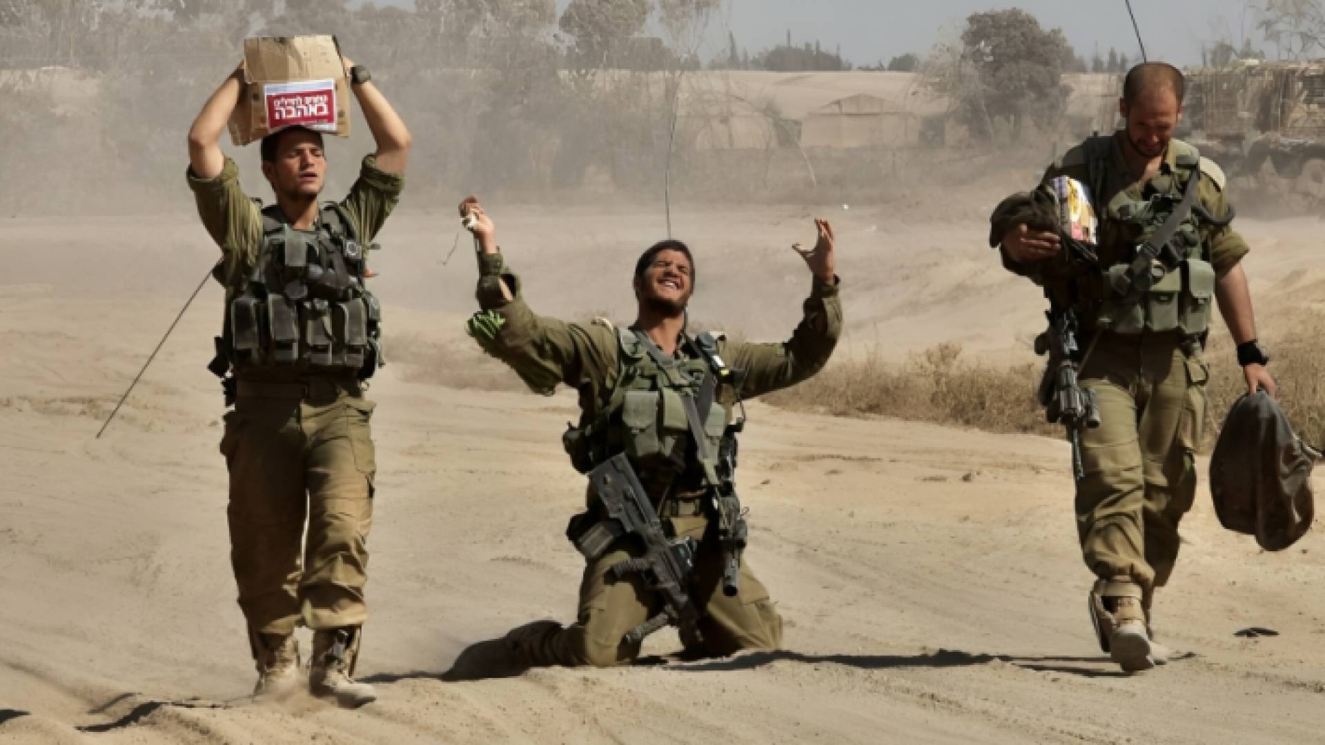 بكاء وعويل الاحتلال