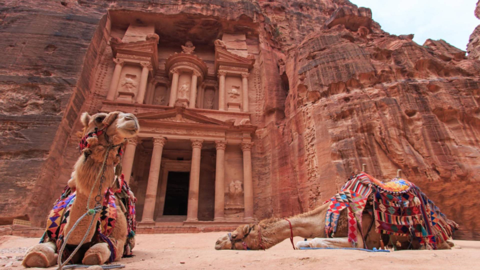 جمال أمام الخزنة في مدينة البترا الأثرية