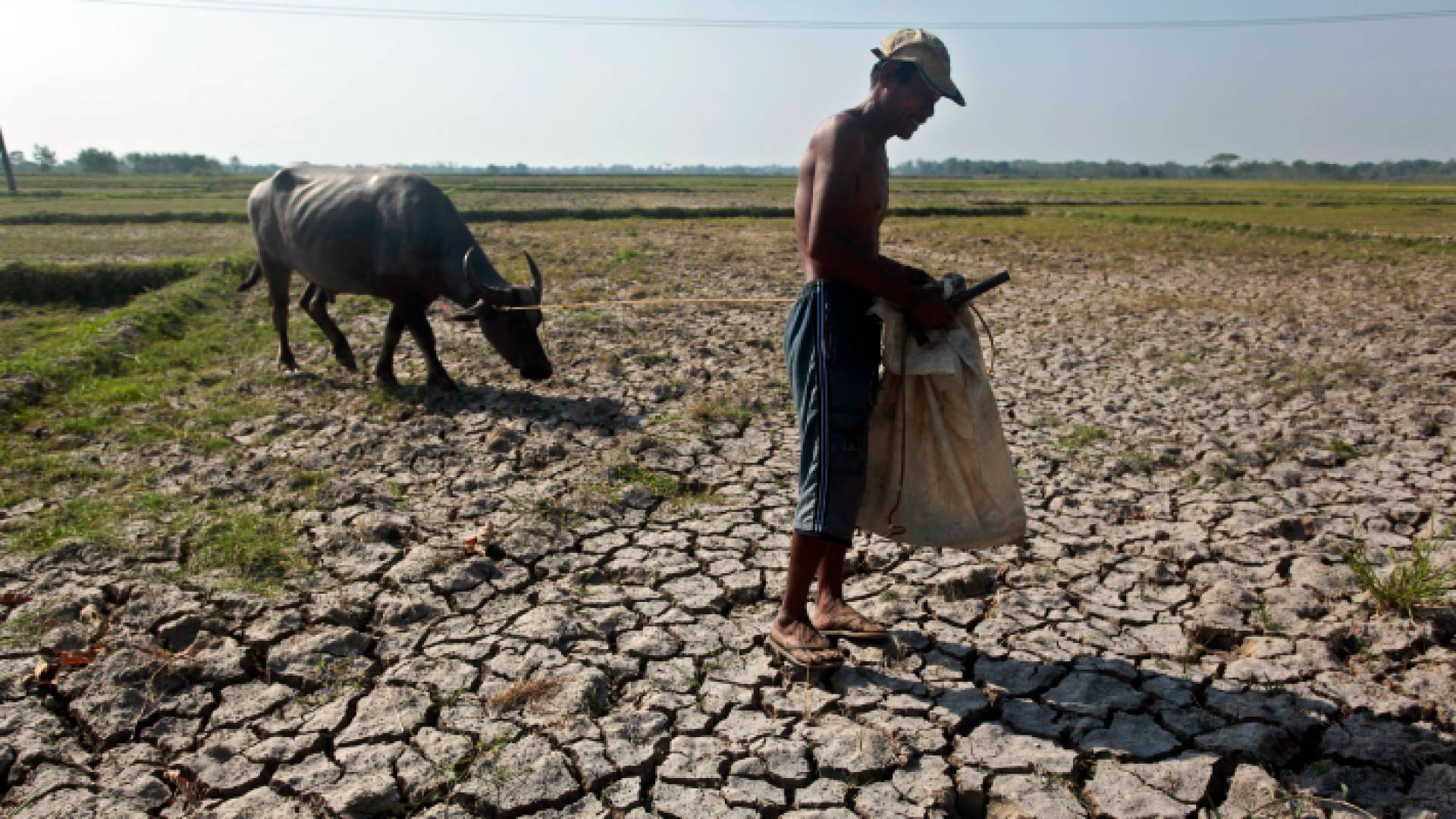 جفاف حقل أرز في الفلبين نتيجة الجفاف الطويل - أرشيفية