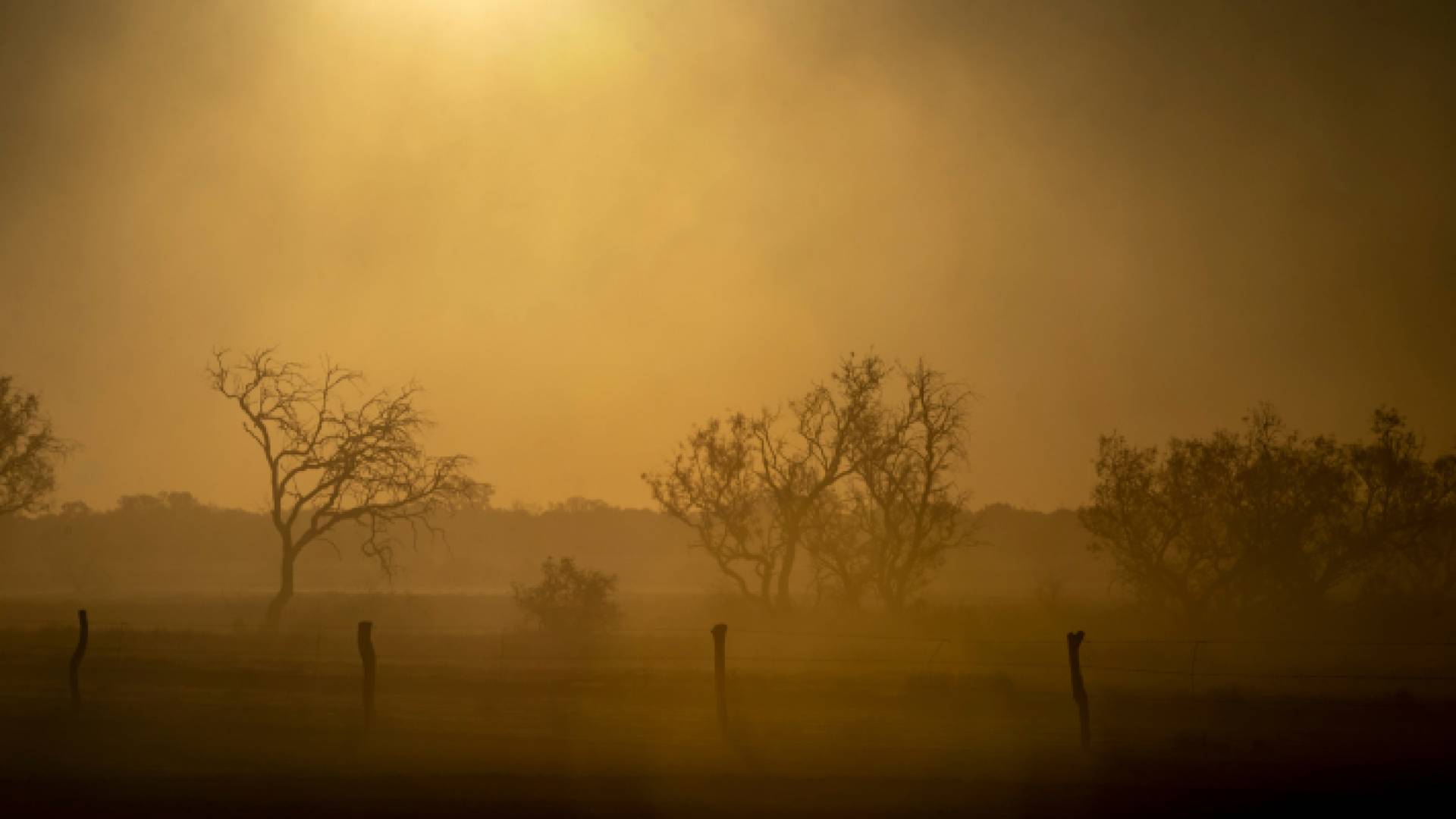 أجواء مغبرة
