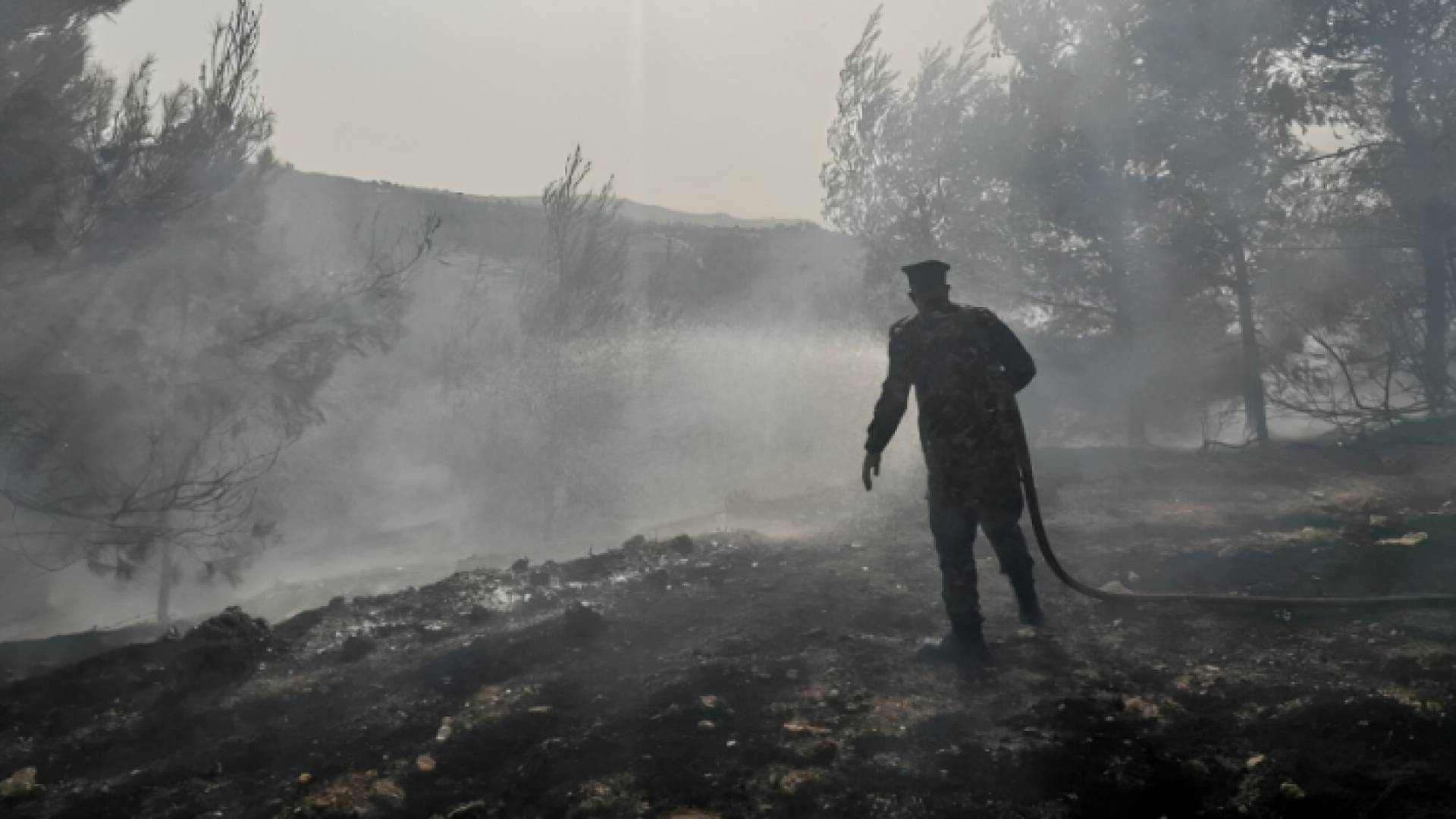 الدفاع المدني يحاول السيطرة على حرائق الغابات