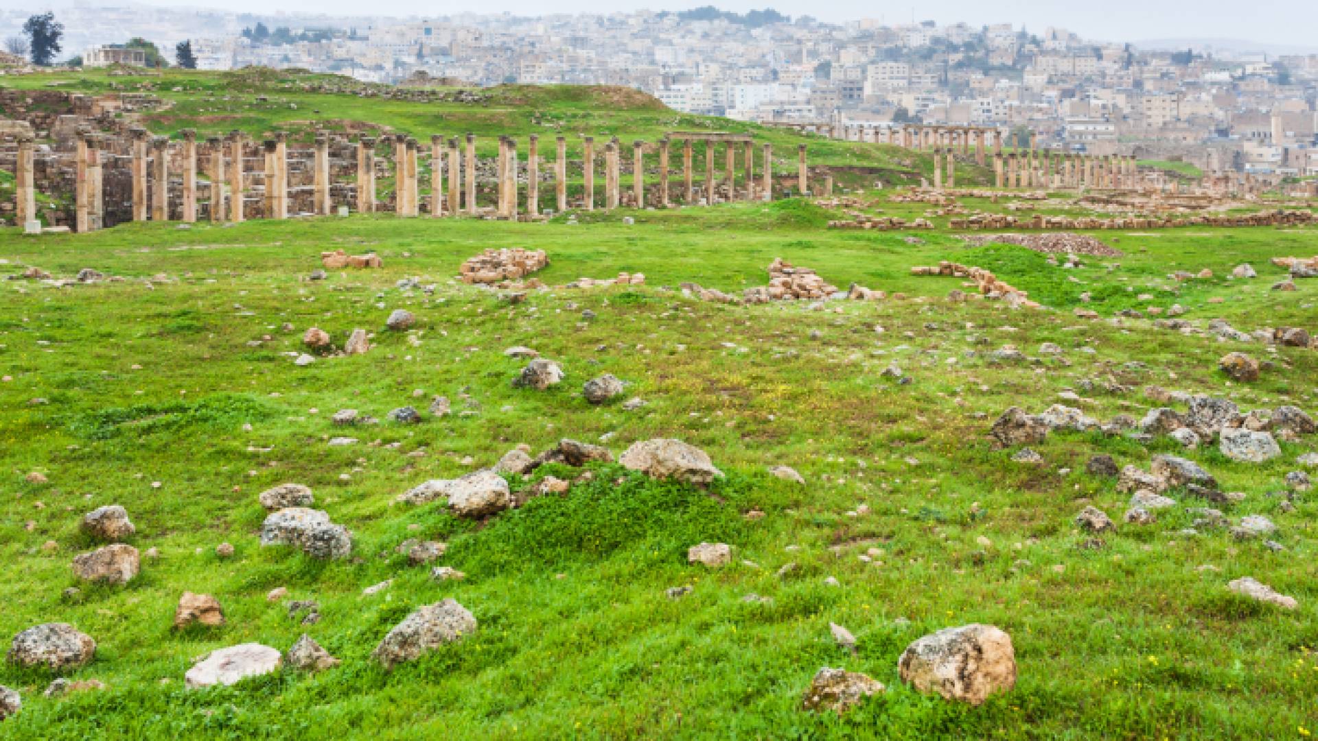 أجواء معتدلة في أحد المناطق بالأردن