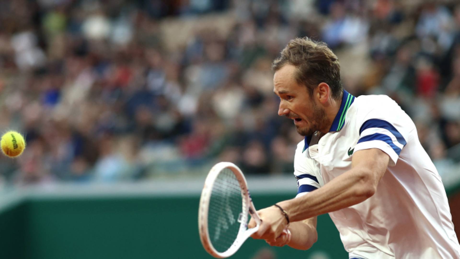 النجم الروسي دانييل ميدفيديف