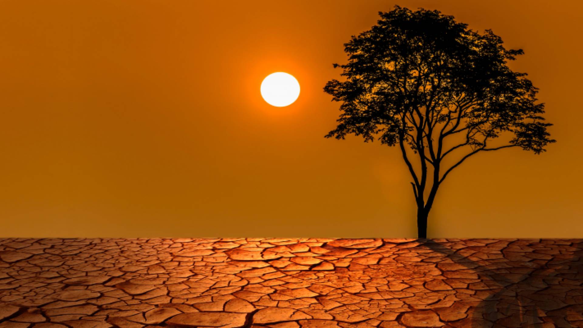 أجواء حارة وجافة بانتظار الأردنيين في صيف 2024