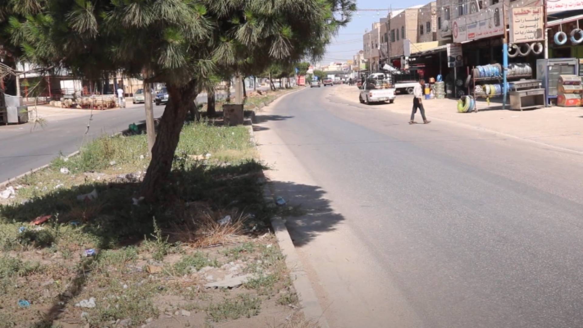 أشجار حرجية في الجزر الوسطية بمدينة إربد