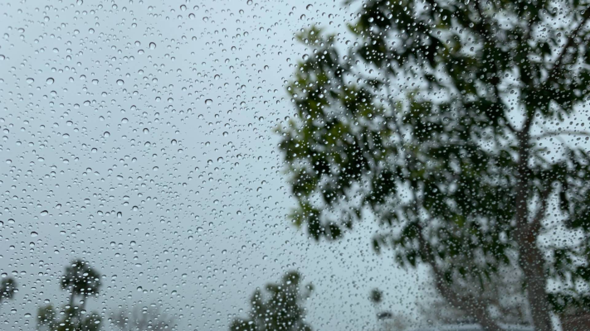 أمطار - تعبيرية