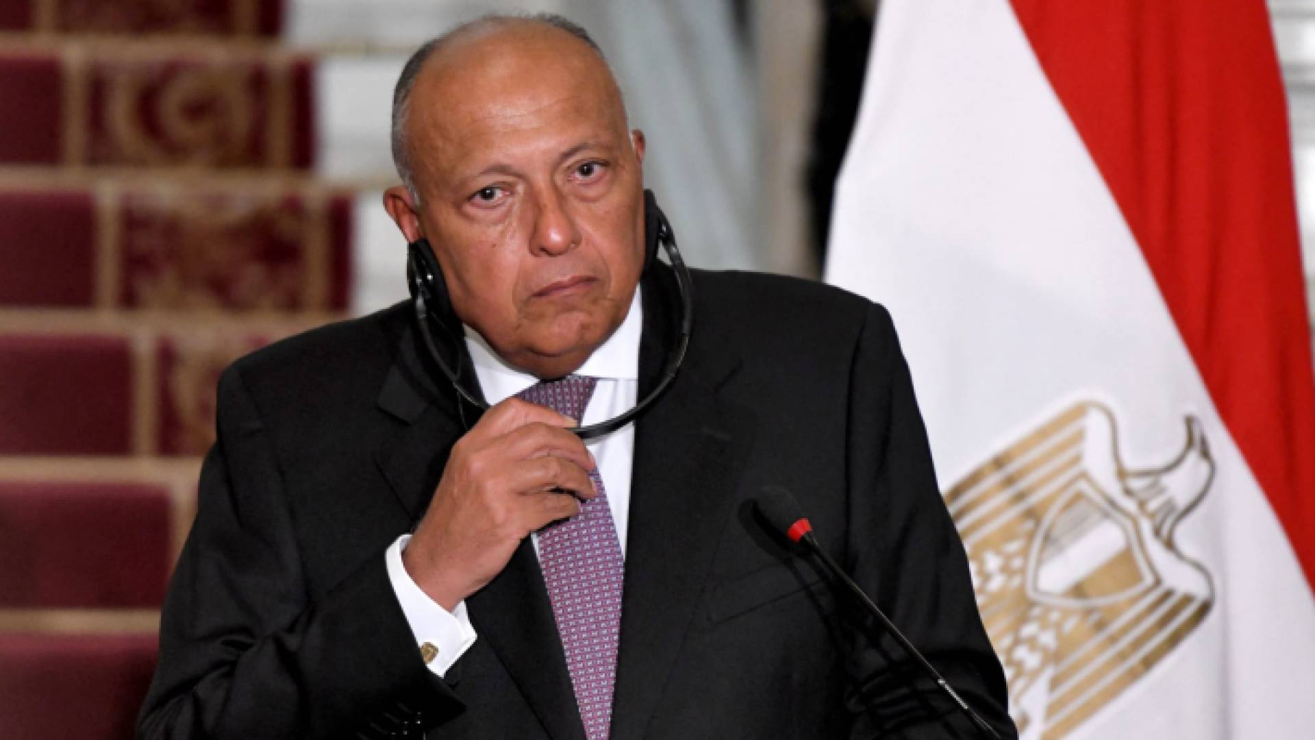 وزير الخارجية المصري سامح شكري