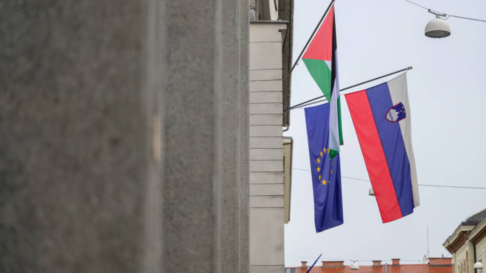 العلم الفلسطيني والعلم السلوفيني