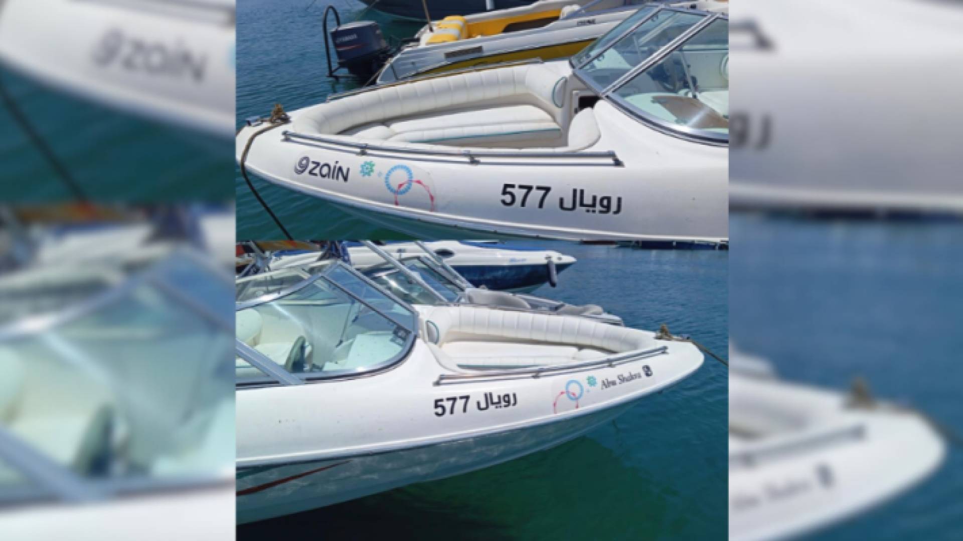 زين وأبو شقرة تتعاونان لحماية البيئة البحرية في العقبة