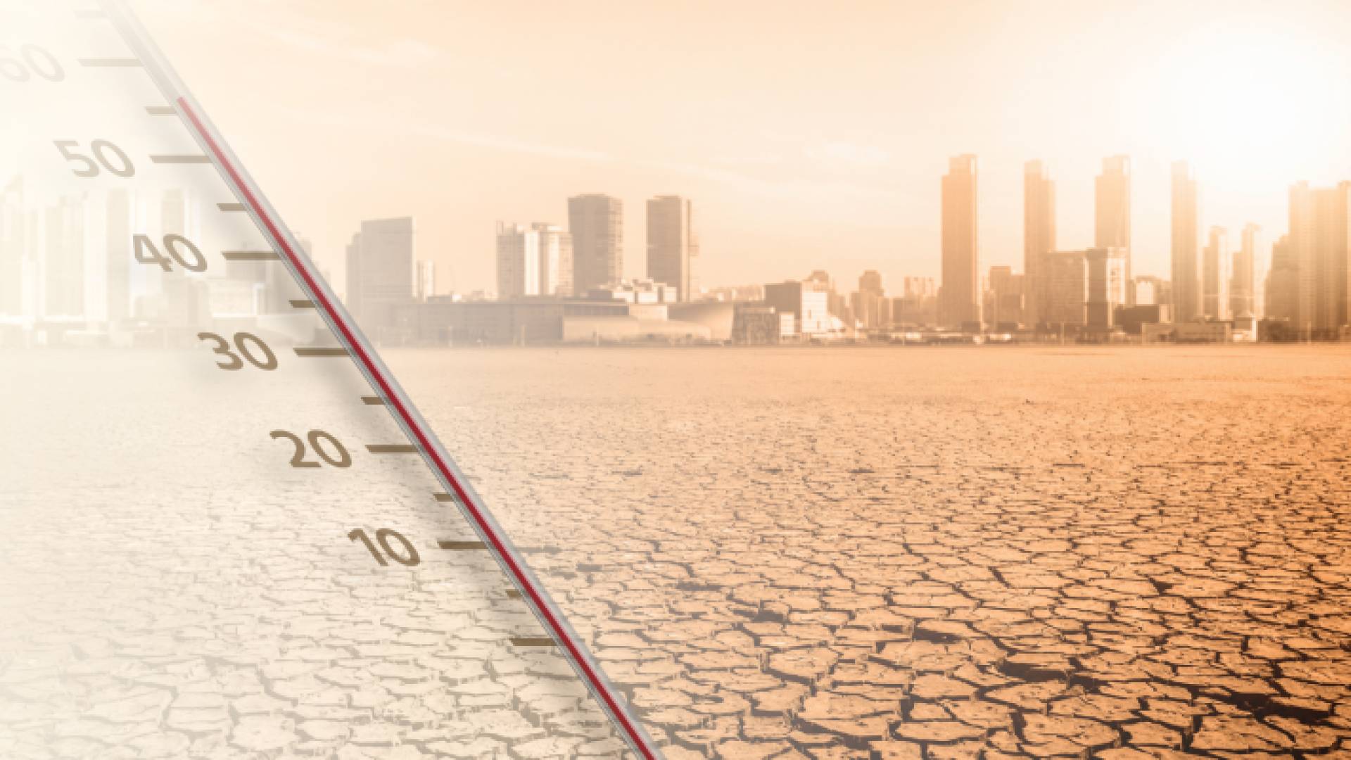 أجواء حارة وجافة