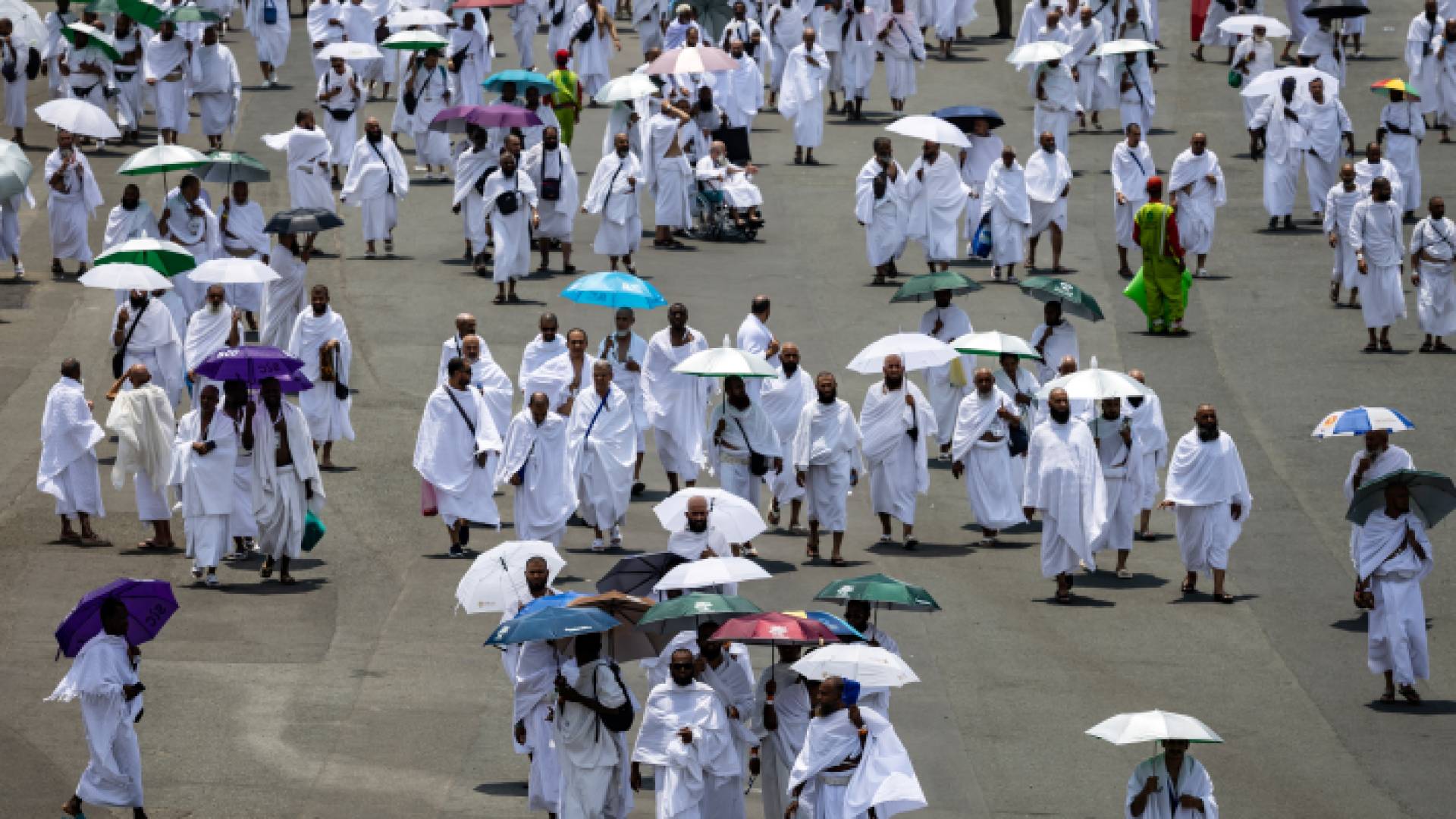 ضيوف الرحمن