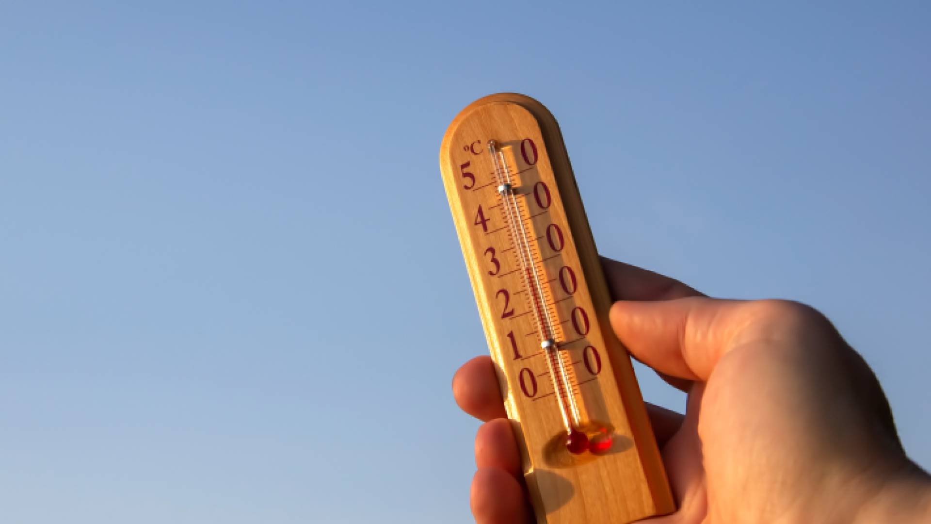 شخص يحمل ميزان حرارة