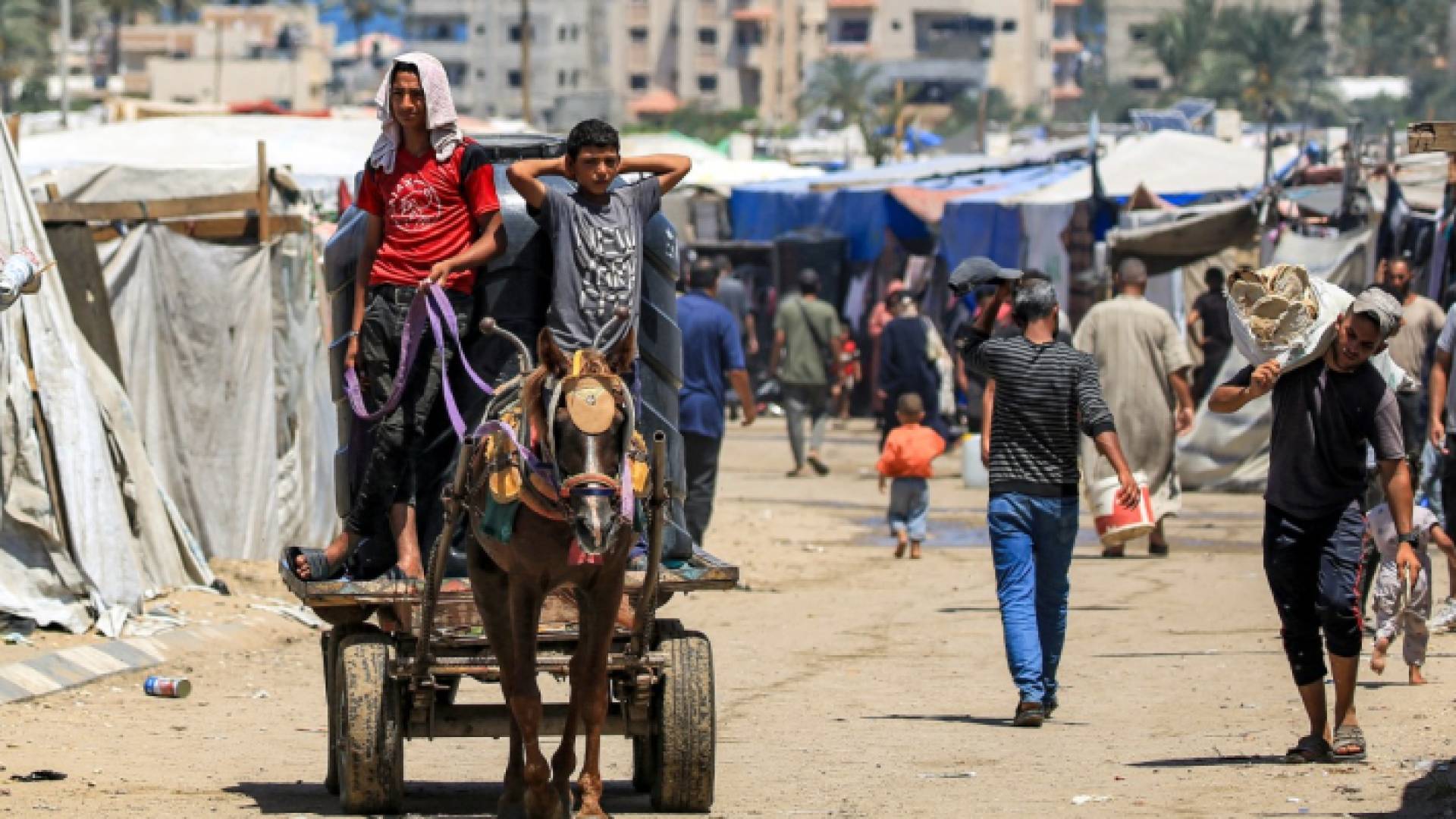 – صبيان يركبان عربة يجرها حصان أمام الخيام التي تؤوي الفلسطينيين النازحين