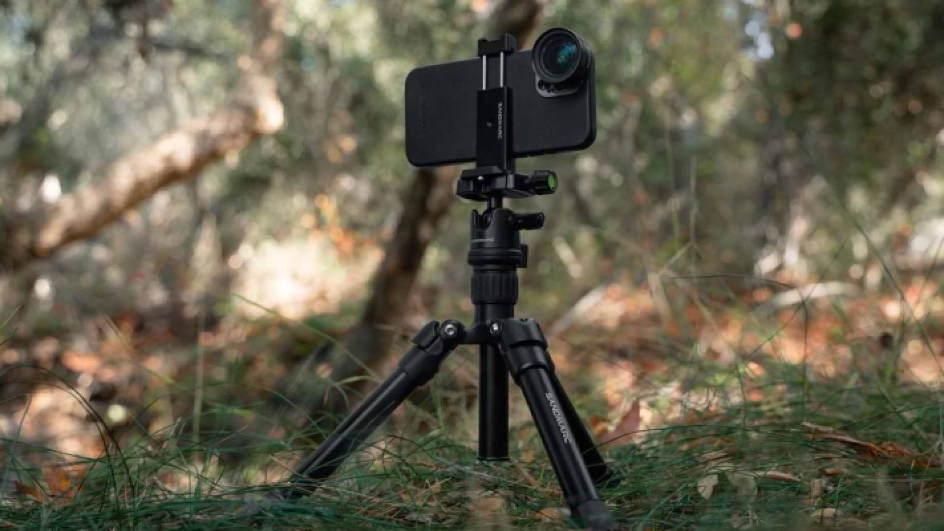 تصوير باستخدام هاتف