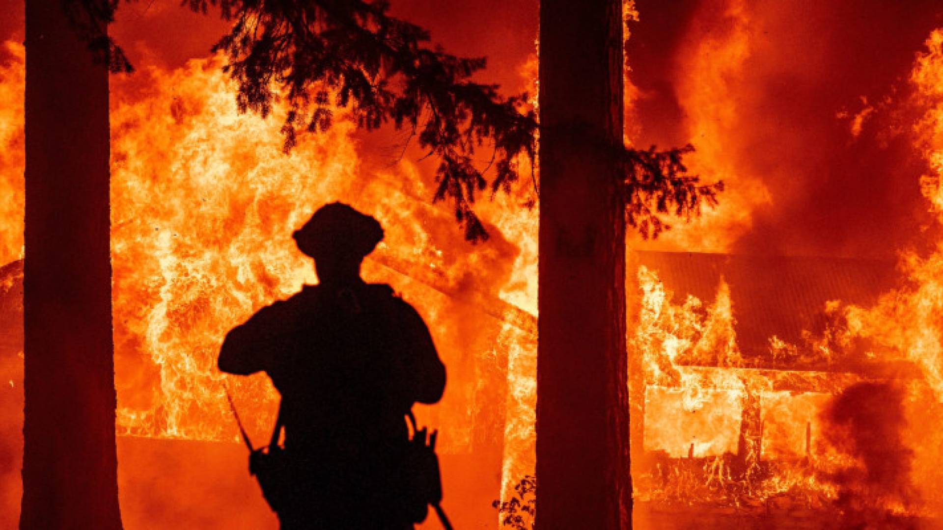رجل اطفاء يقف أمام النيران المستعرة في كاليفورنيا