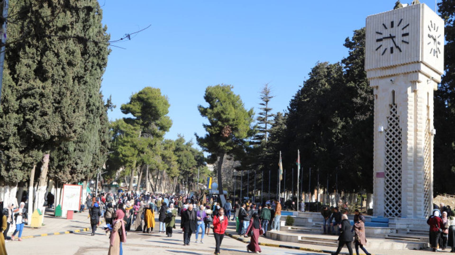 الجامعة الأردنية