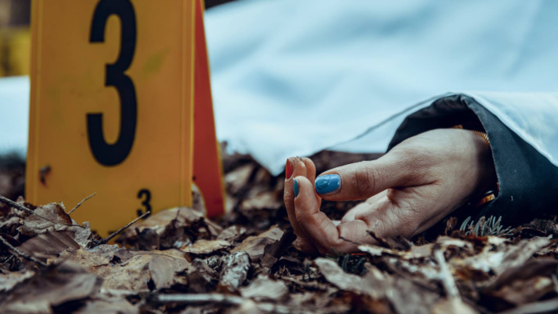 صورة تعبر عن حادثة قتل