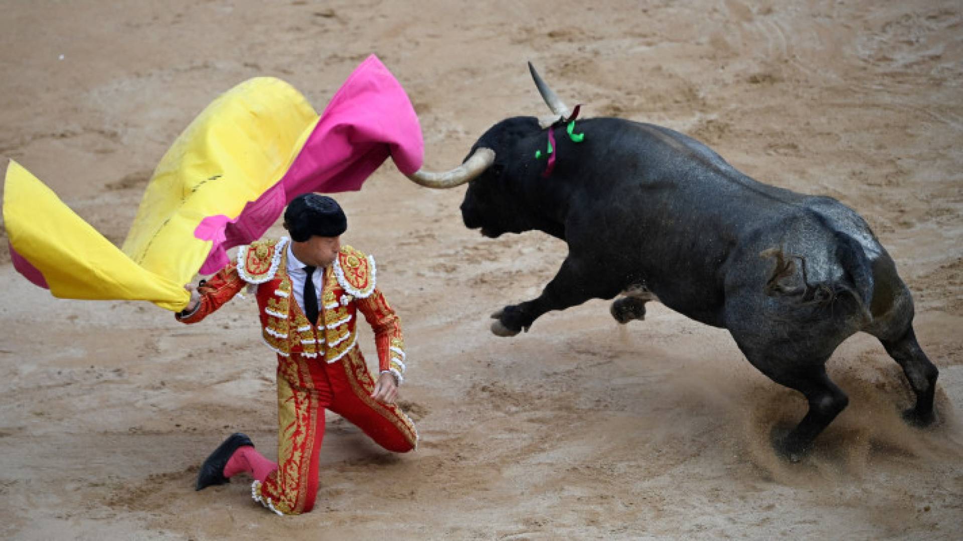 حلبة مصارعة ثيران