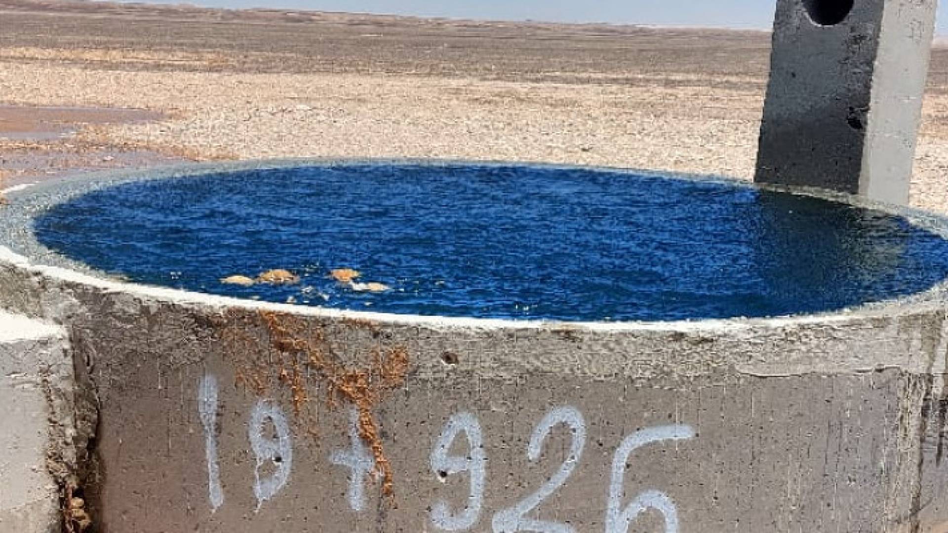 أحد الهوايات الرئيسية في خط الديسي