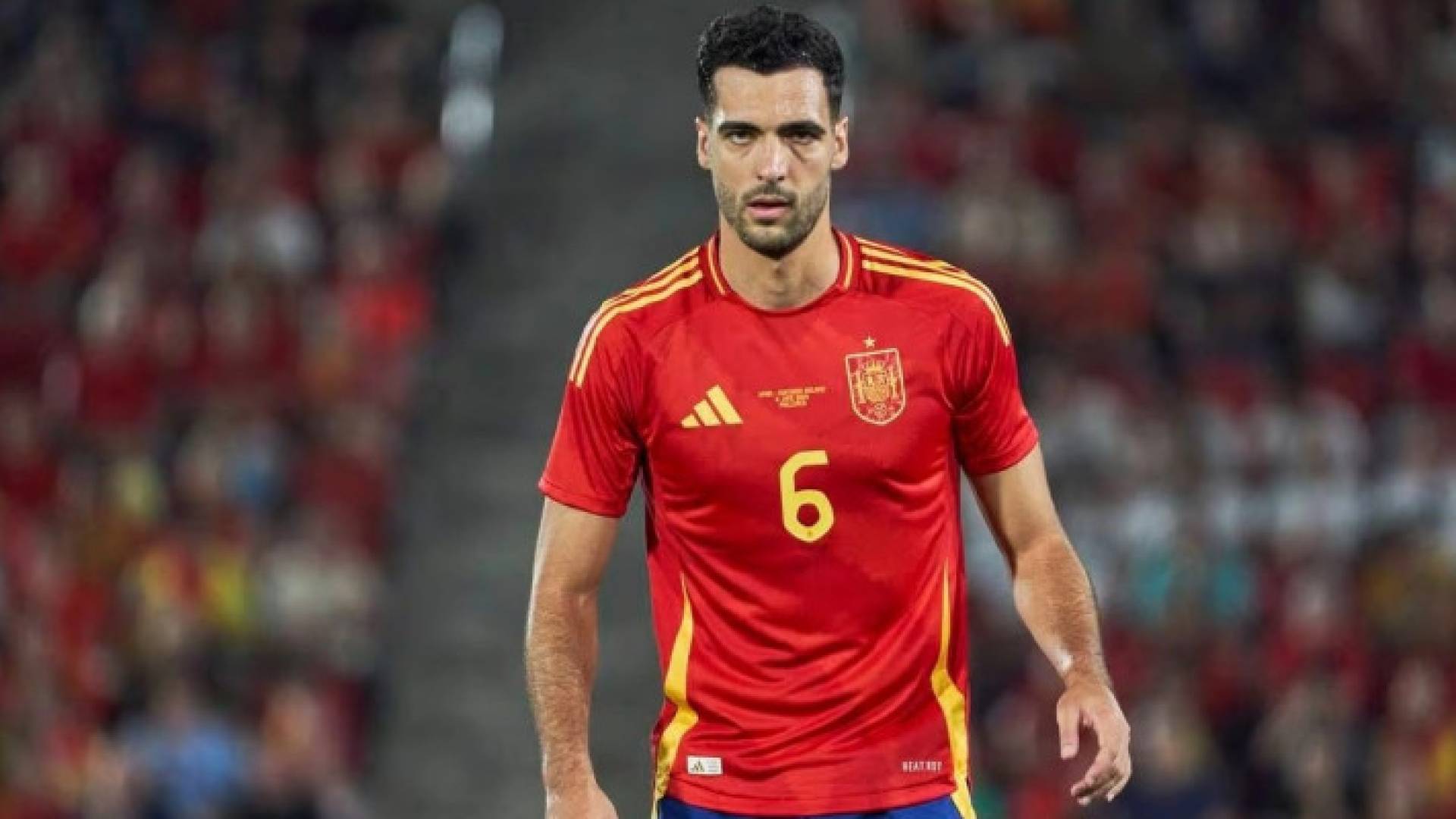 ميكيل ميرينو