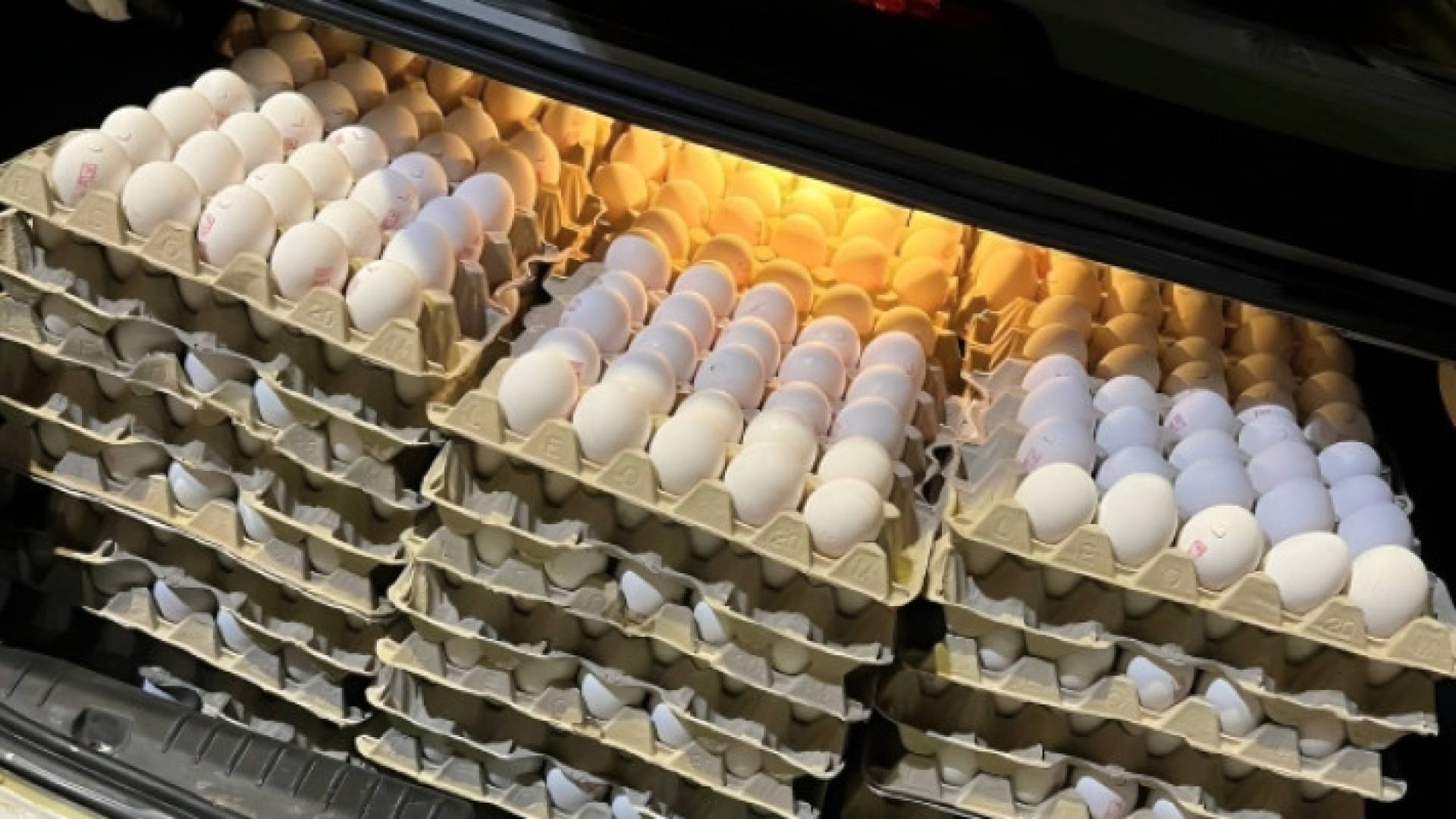 سيارة تحمل أطباق بيض