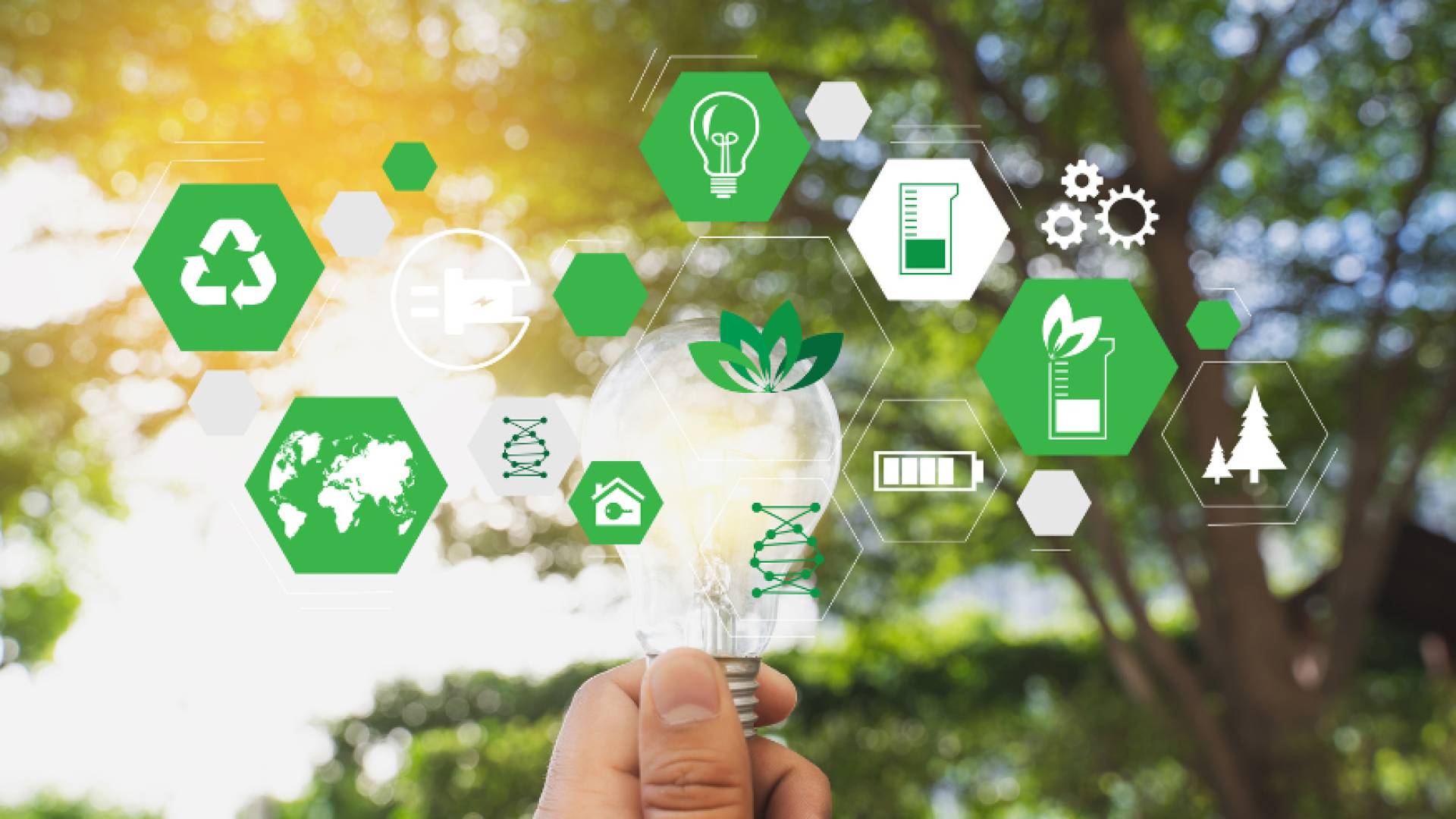 صدور نظام ربط مصادر الطاقة المتجددة على النظام الكهربائي بالجريدة الرسمية