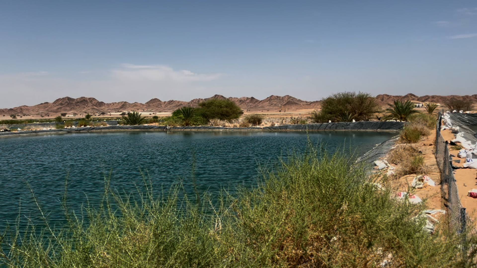 لقطة لبركة مياه