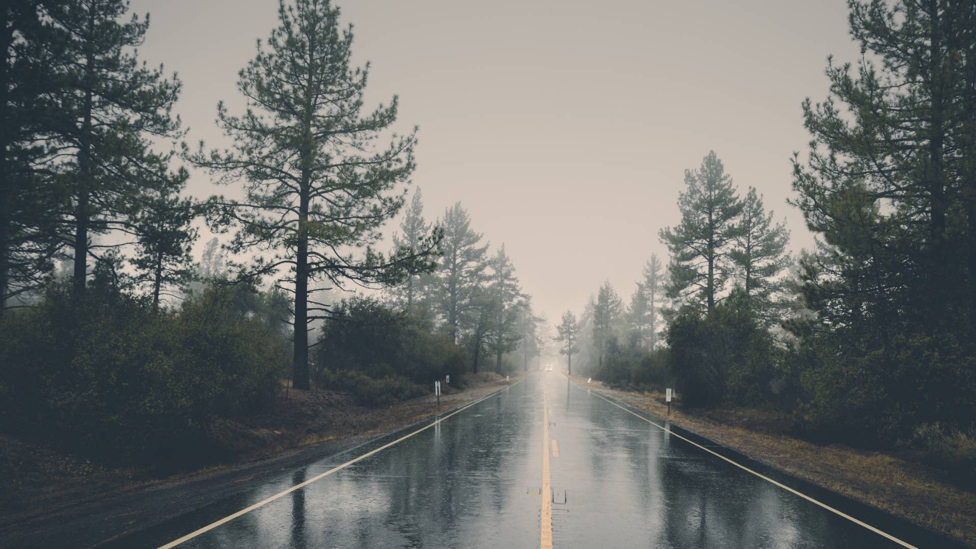 طقس ماطر "أرشيفية"